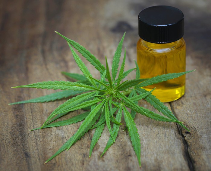 Cannabis leaves and small bottle of cannabinoid-rich liquid.