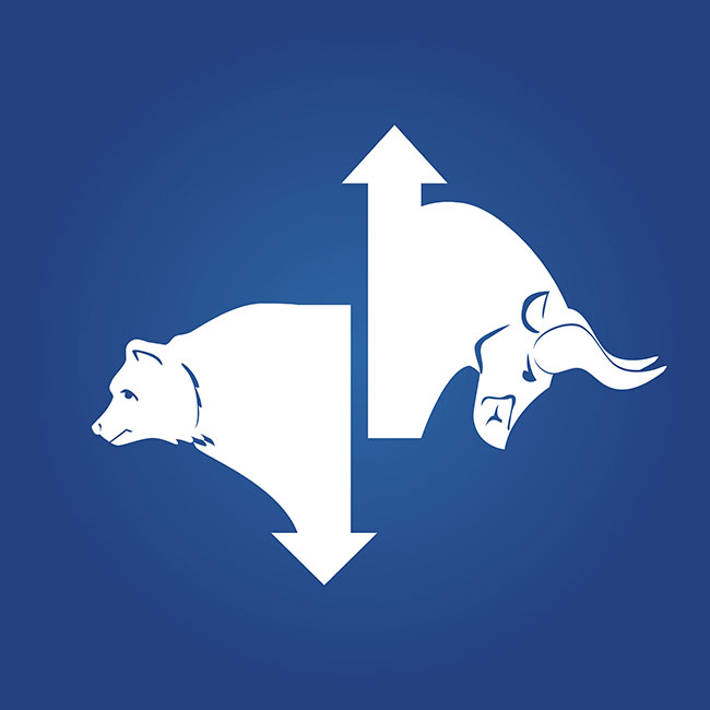 Bull and bear showing market direction