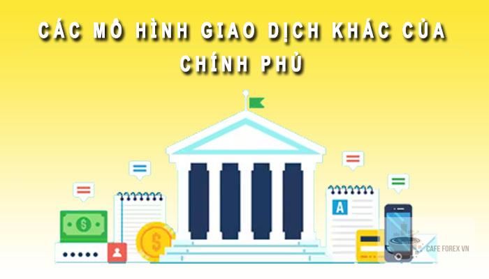 Các mô hình giao dịch khác của chính phủ