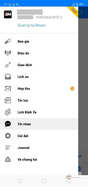 Các Tùy Chọn Có Trong MT5