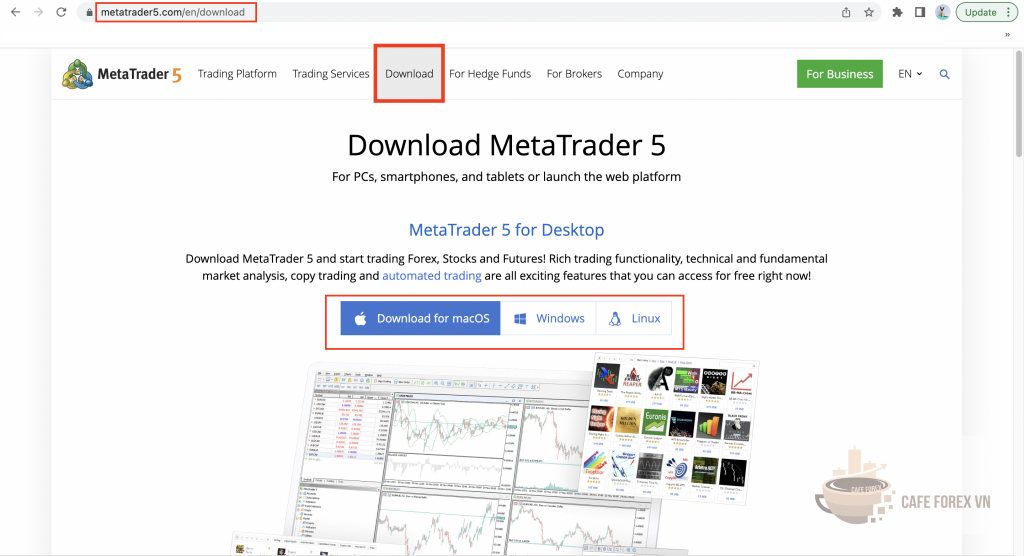 Cách Download MT5