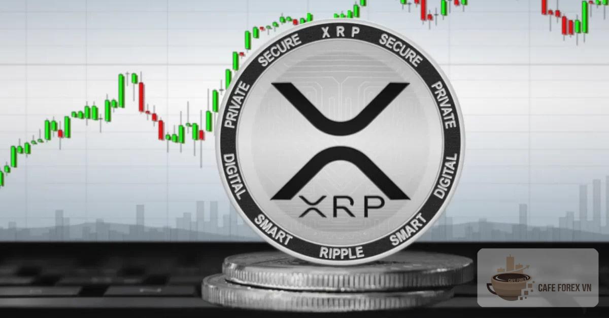 XRP Là Gì? Tổng Quan Những Điều Cần Biết Về XRP