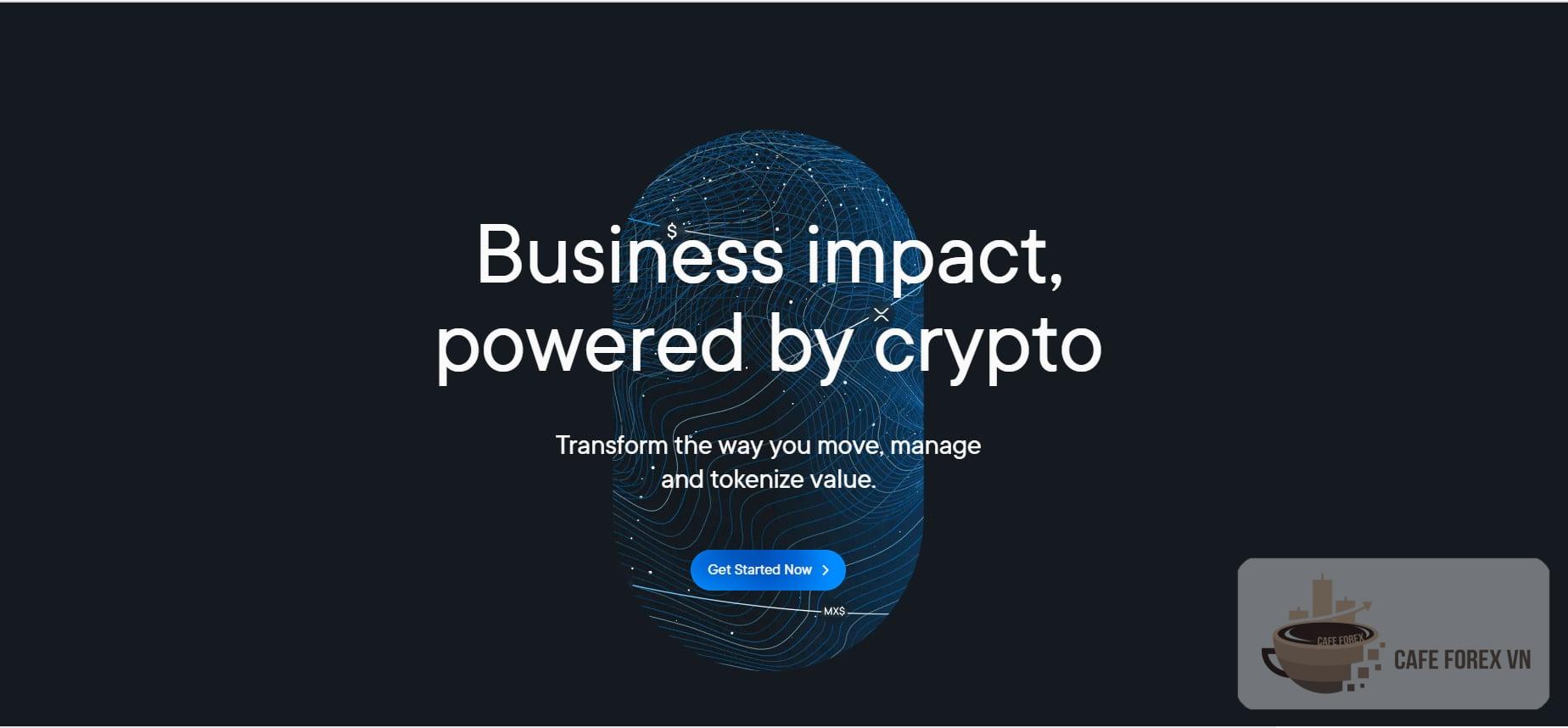 XRP Là Gì? Tổng Quan Những Điều Cần Biết Về XRP