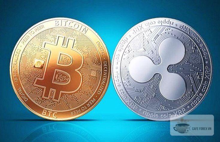 XRP Là Gì? Tổng Quan Những Điều Cần Biết Về XRP