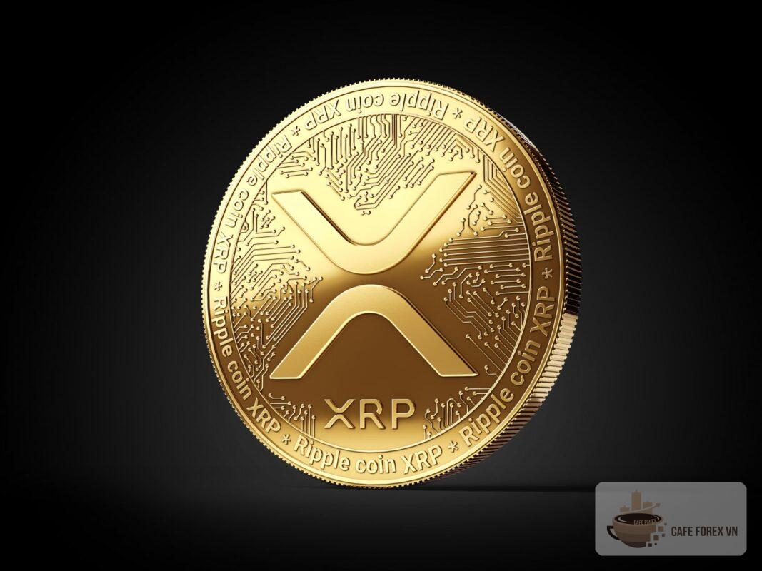 XRP Là Gì? Tổng Quan Những Điều Cần Biết Về XRP